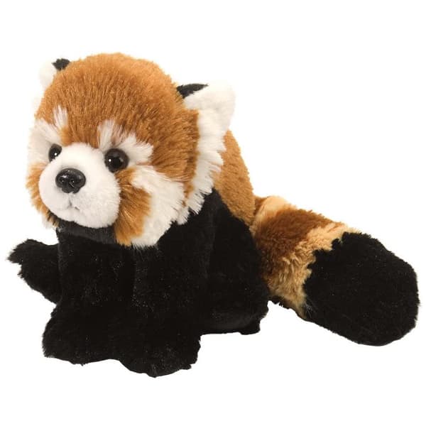CK Mini Red Panda