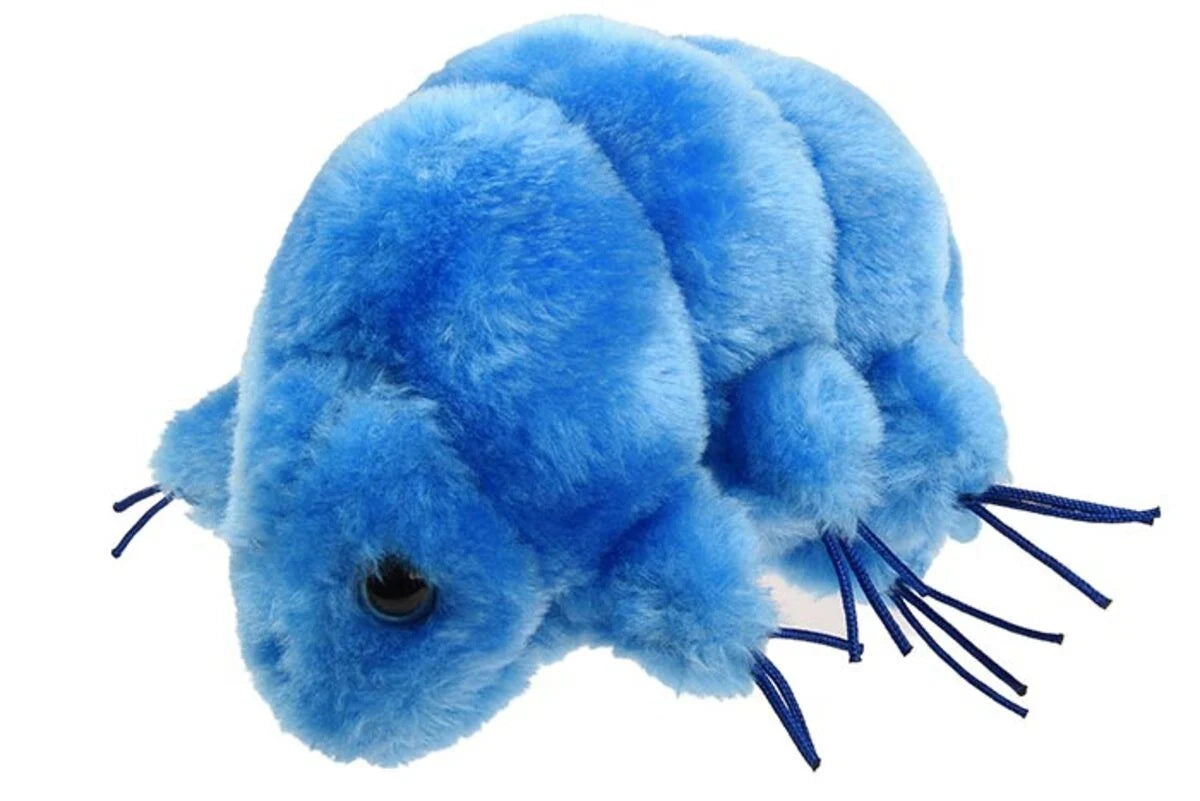 Waterbear