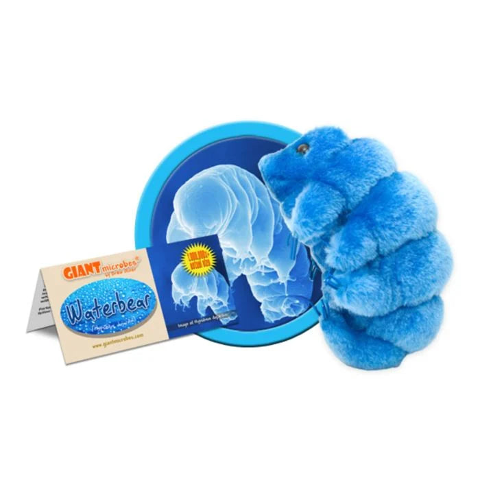 Waterbear